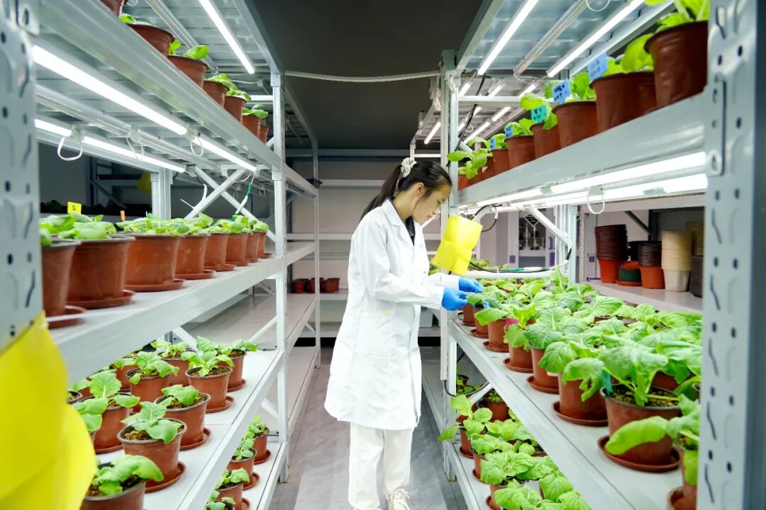 港北區 循環產業鏈賦能，打造有機無機‘糖蜜肥’生物有機肥新篇章