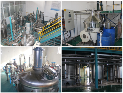 根力多生物科技新突破 年產五萬噸微生物菌劑及五千噸氨基酸水溶肥項目成功試車，引領生物有機肥料研發新浪潮