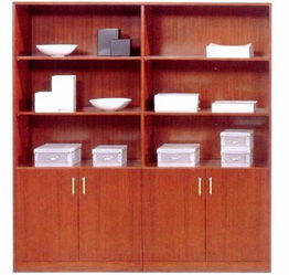 北京辦公家具定做與平臺(tái)開發(fā) 文件柜、書柜的現(xiàn)代化解決方案